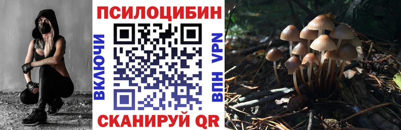 Псилоцибиновые грибы мицелий  купить наркотики сайты  Южно-Сухокумск 